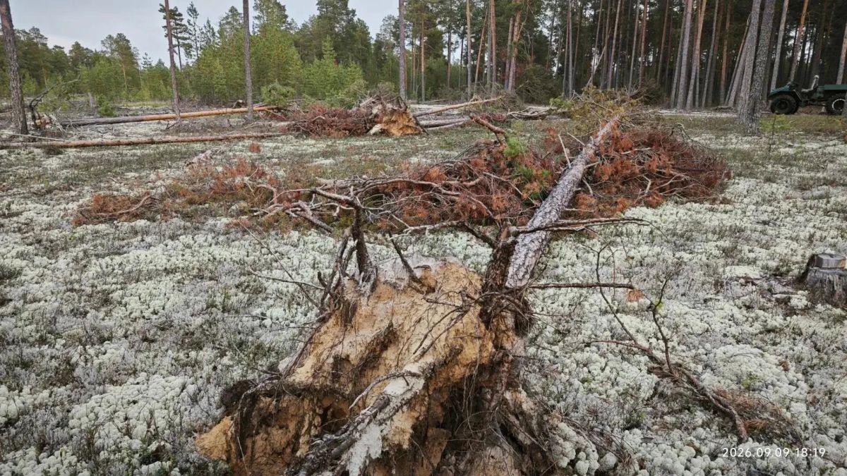 Спутник заметил, инспекторы проверили: итоги рейда на реках Согом и Янгуловская Спутник заметил, инспекторы проверили: итоги рейда на реках Согом и Янгуловская