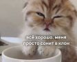 ���� ���������� � ������: ������ ��������, ������� ����� �����, ����� �� ������� ������ �������!