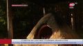 ����� ���������� �������: �������� ��� ����������� � ���������� �� ���������� ������� � ��������� ����� � ������� �����