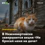 В Нижневартовске завершается акция «Не бросай меня на даче»