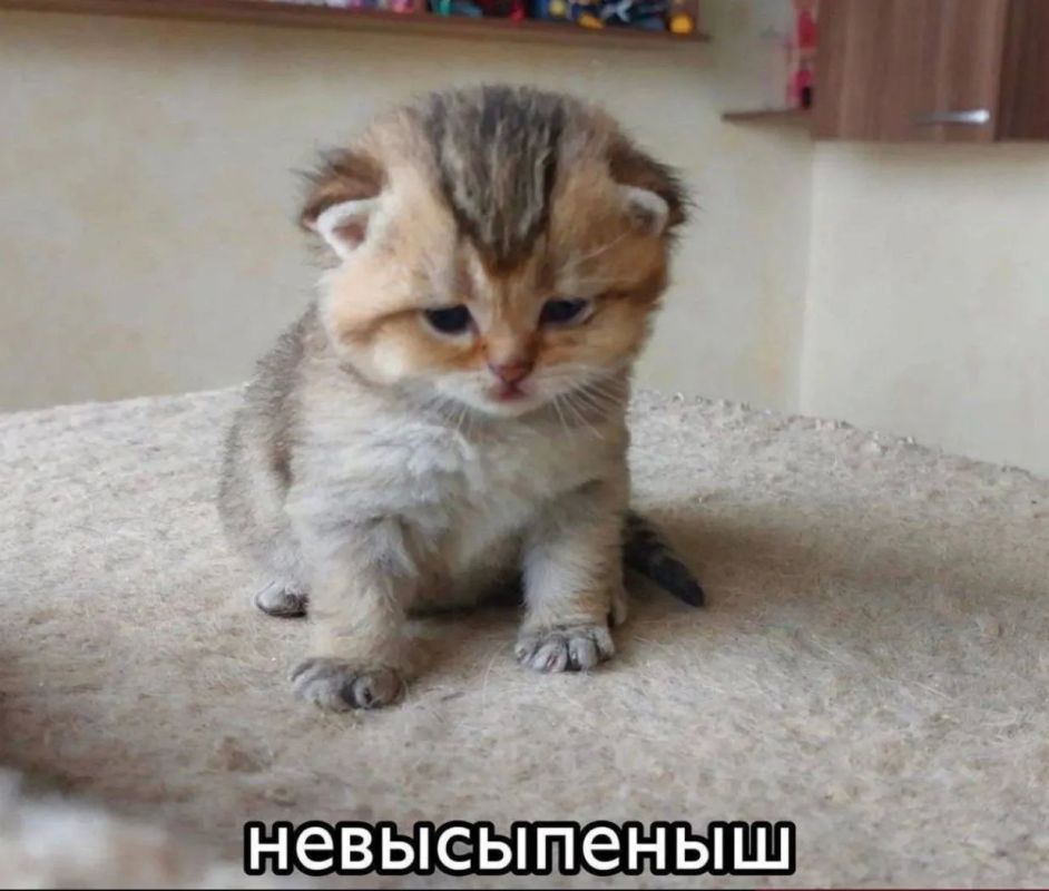 Утро начинается с фактов: учёные выяснили, сколько нужно спать, чтобы не стареть раньше времени! Утро начинается с фактов: учёные выяснили, сколько нужно спать, чтобы не стареть раньше времени!