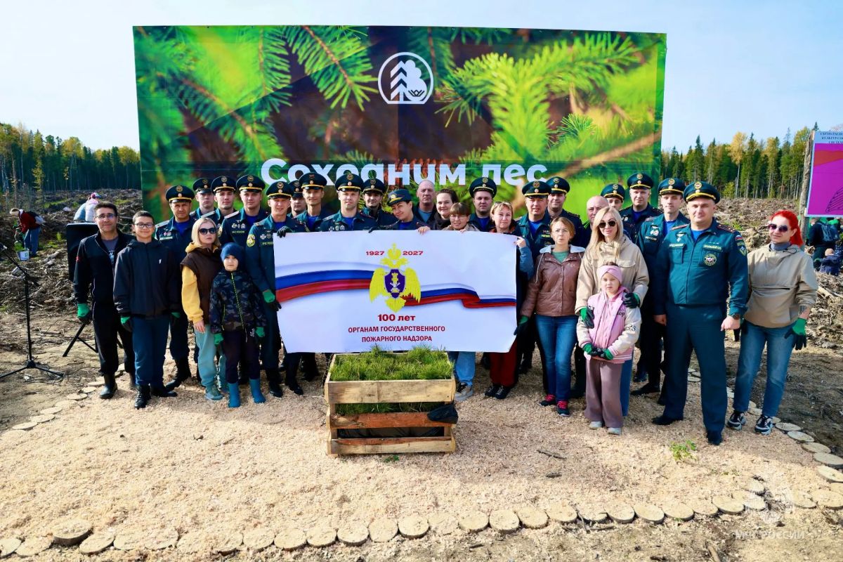 Сохраним лес вместе. В Ханты-Мансийском районе, в 50 км от города по дороге на Горноправдинск, прошла масштабная высадка леса Сохраним лес вместе. В Ханты-Мансийском районе, в 50 км от города по дороге на Горноправдинск, прошла масштабная высадка леса