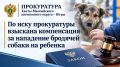 ����������� ������ ������� ������� �������� ����� ��������� ��������� �� ������������������� � ���� 2026 ����