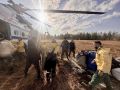В Ямало-Ненецком автономном округе ликвидированы все лесные пожары – югорчане возвращаются домой