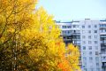 Осень в городе . Яркие краски, мягкий свет и уют сентября, которые хочется запечатлеть