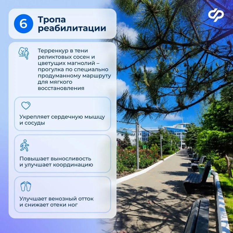 Оздоровление на берегу Черного моря Оздоровление на берегу Черного моря