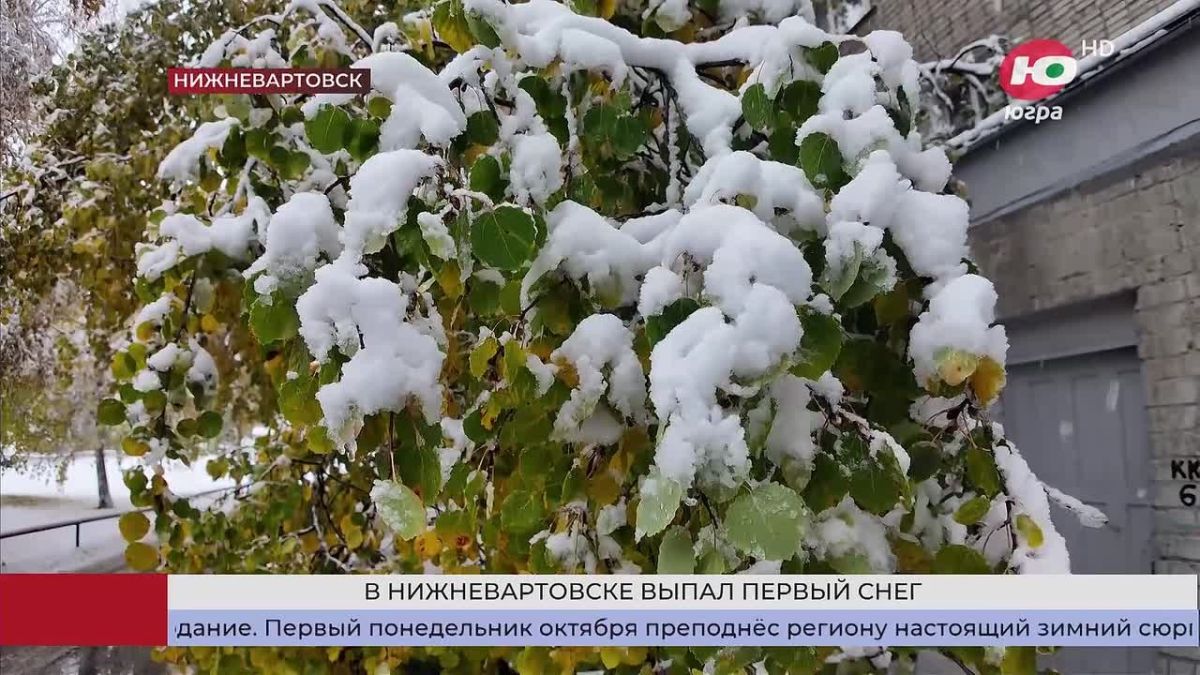 В Югре прошли первые снегопады