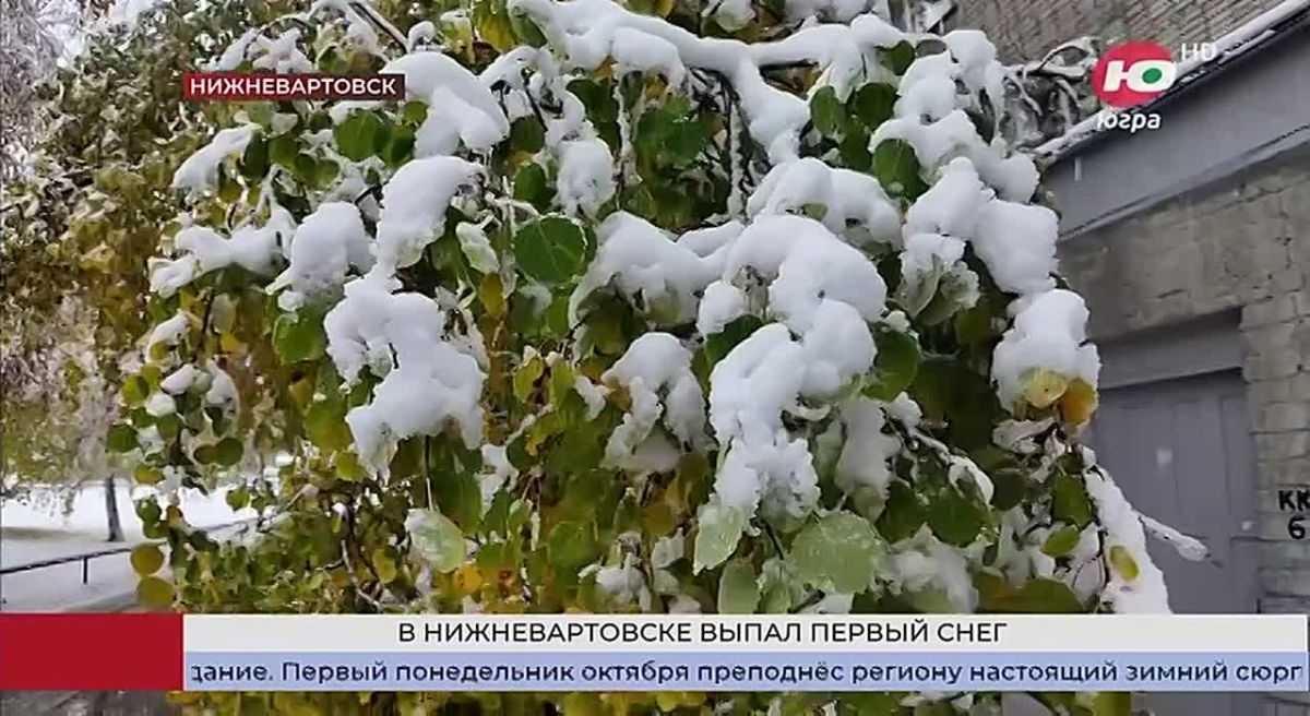 В Югре прошли первые снегопады