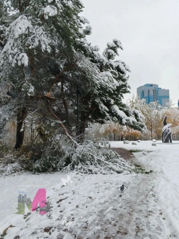 Последствия непогоды в Сургуте Последствия непогоды в Сургуте