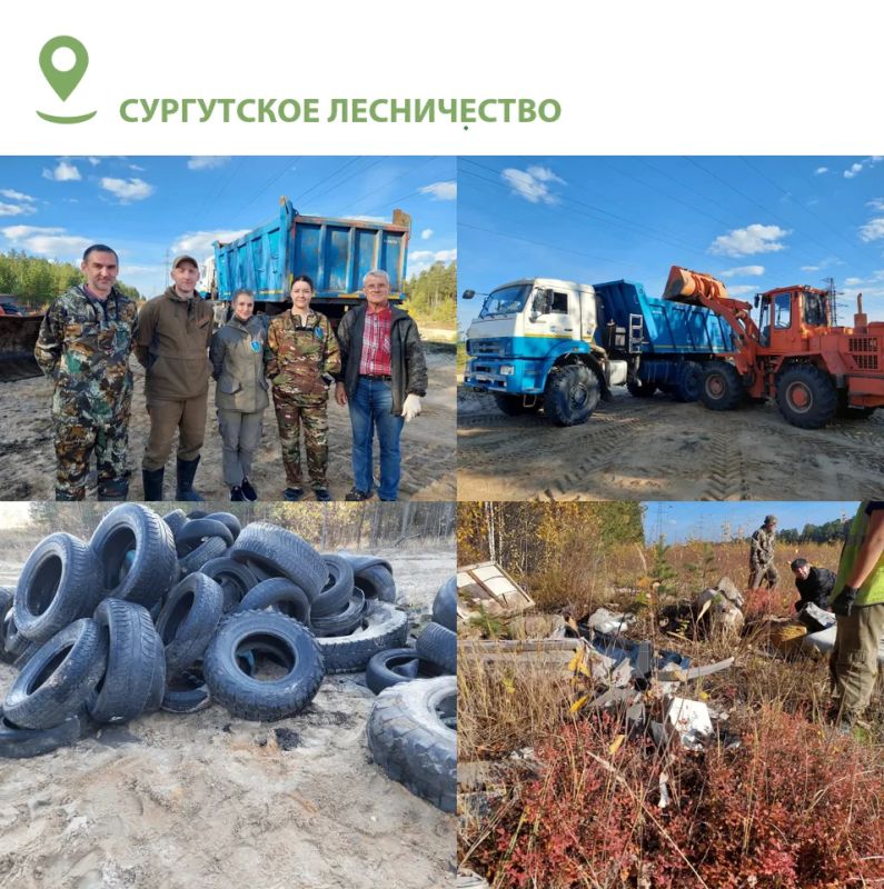 В Югре завершается второй этап ежегодной акции «Чистый лес»