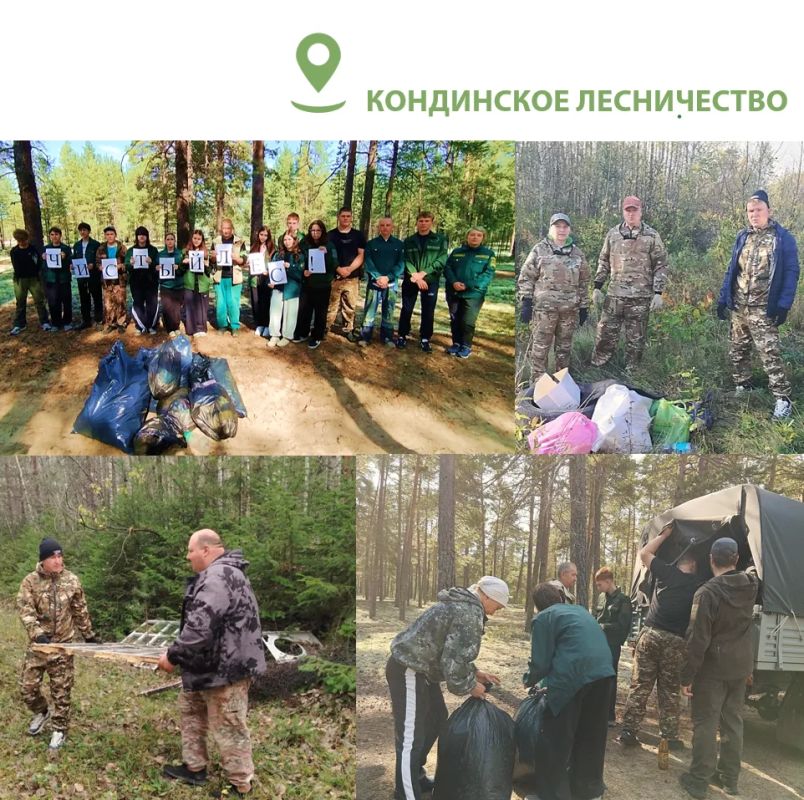 В Югре завершается второй этап ежегодной акции «Чистый лес» В Югре завершается второй этап ежегодной акции «Чистый лес»