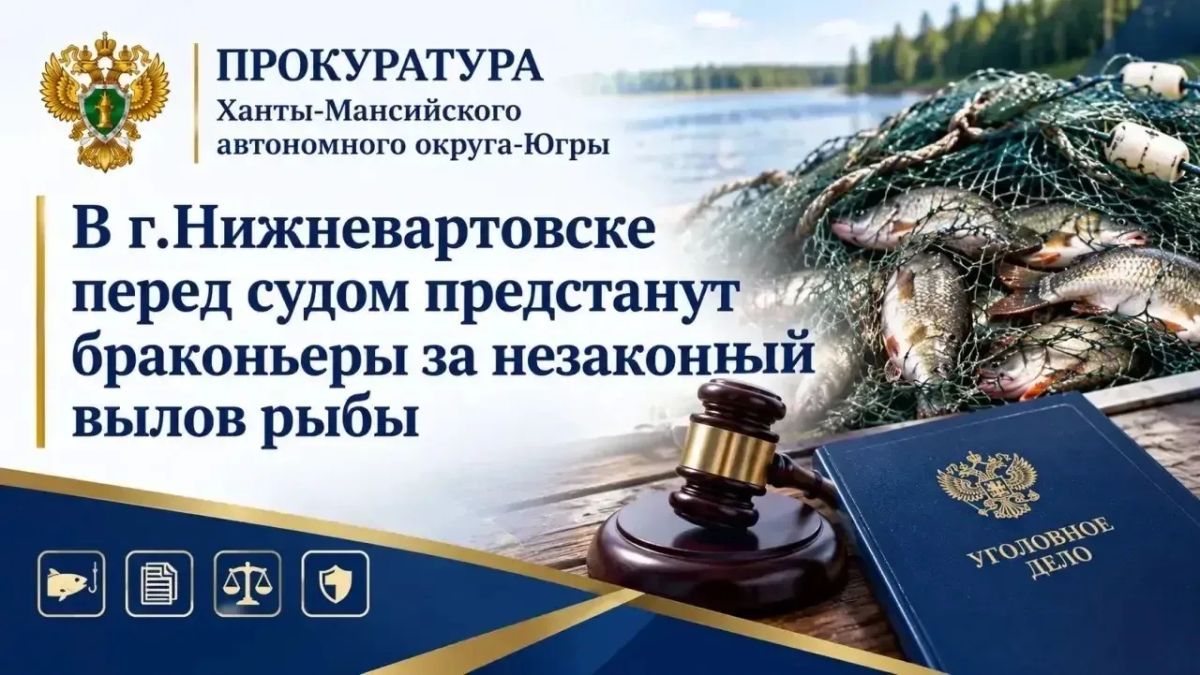 В августе 2025 года двое жителей города Нижневартовска на лодке с сетями незаконно добыли 5 особей Сибирского осетра и 544 особи стерляди