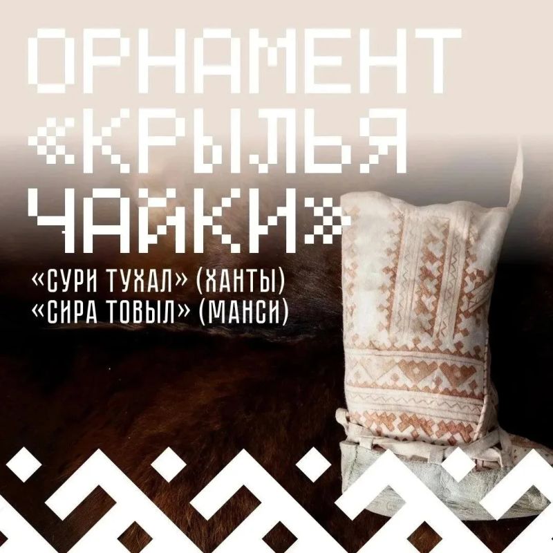 Почему чайка стала одним из символов орнамента народов ханты и манси?