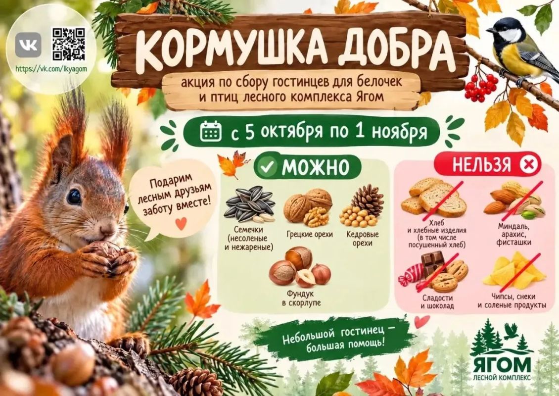 Белочкам и птичкам нужен корм