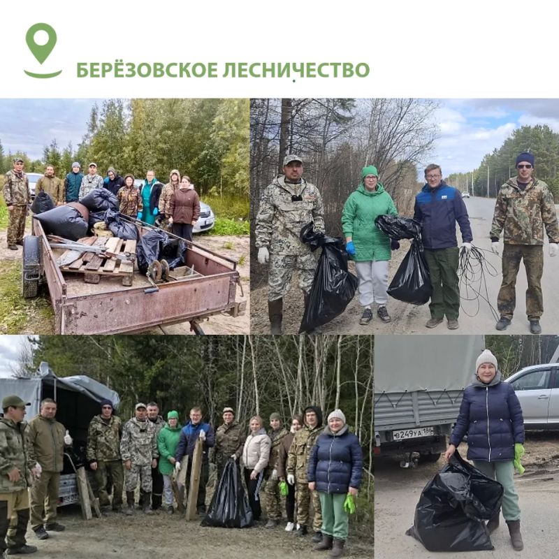 В Югре завершается второй этап ежегодной акции «Чистый лес» В Югре завершается второй этап ежегодной акции «Чистый лес»