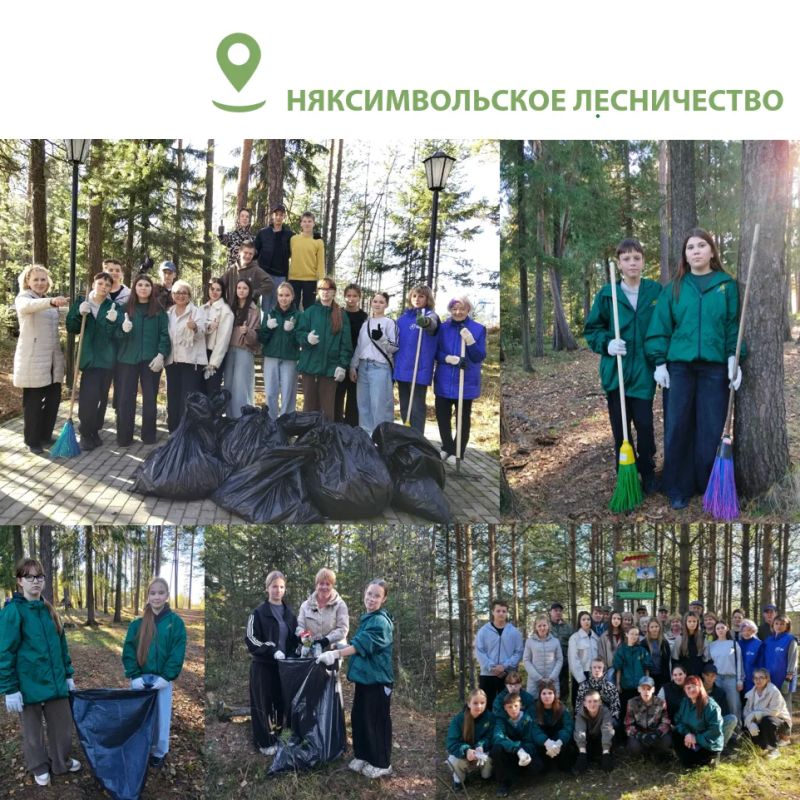 В Югре завершается второй этап ежегодной акции «Чистый лес» В Югре завершается второй этап ежегодной акции «Чистый лес»