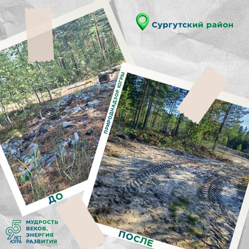 Успеть до зимы.. Сургутское управление Природнадзора Югры активно фиксирует устранение несанкционированных мест размещения отходов на подведомственной территории Успеть до зимы.. Сургутское управление Природнадзора Югры активно фиксирует устранение несанкционированных мест размещения отходов на подведомственной территории