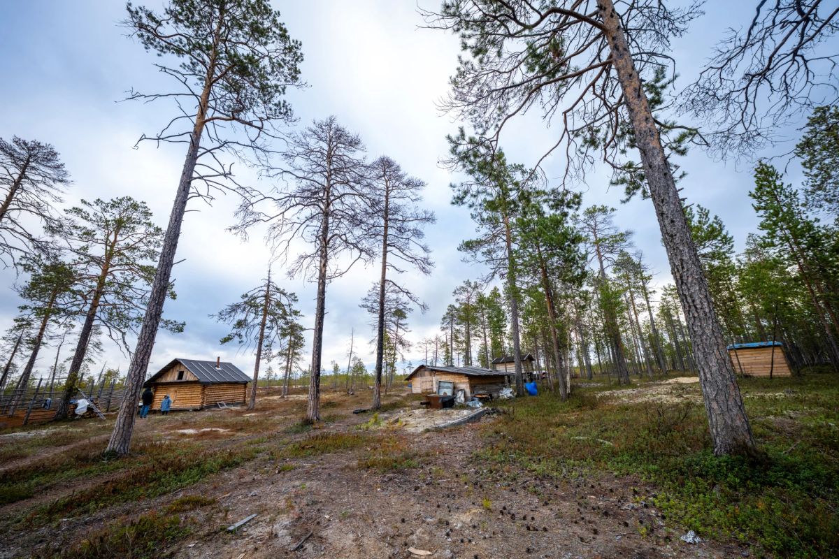 В Югре выбирают лучшее стойбище коренных народов Севера В Югре выбирают лучшее стойбище коренных народов Севера