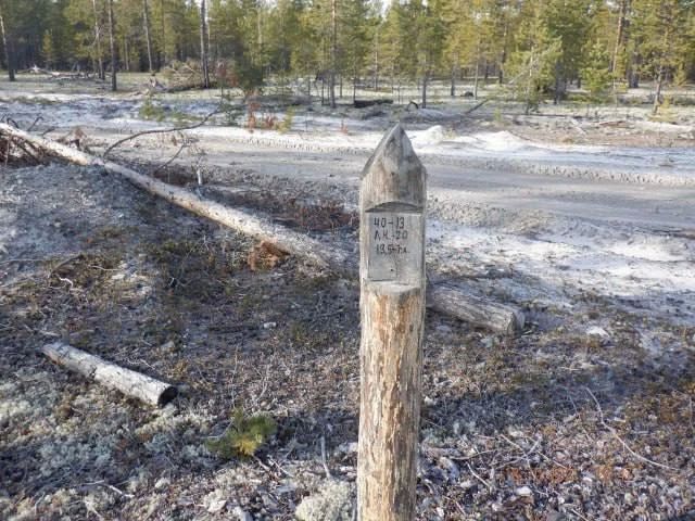 В Югре, несмотря на выпавший снег и похолодание, продолжается грибной сезон