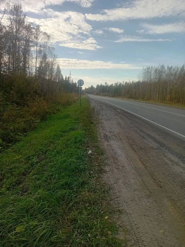 Трагедия на трассе, которая потрясла даже опытных инспекторов Трагедия на трассе, которая потрясла даже опытных инспекторов