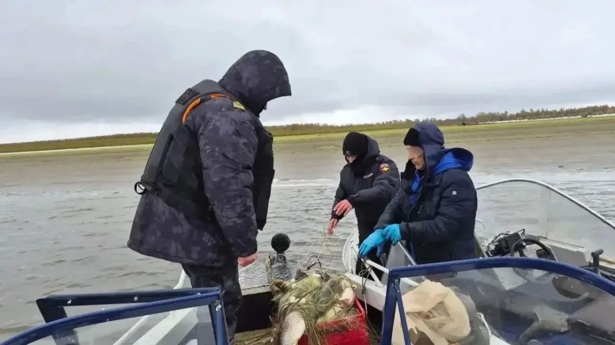15 щук, 3 язей, 2 леща, плотву и карася нашли полицейские в сетях жителя Мегиона 15 щук, 3 язей, 2 леща, плотву и карася нашли полицейские в сетях жителя Мегиона