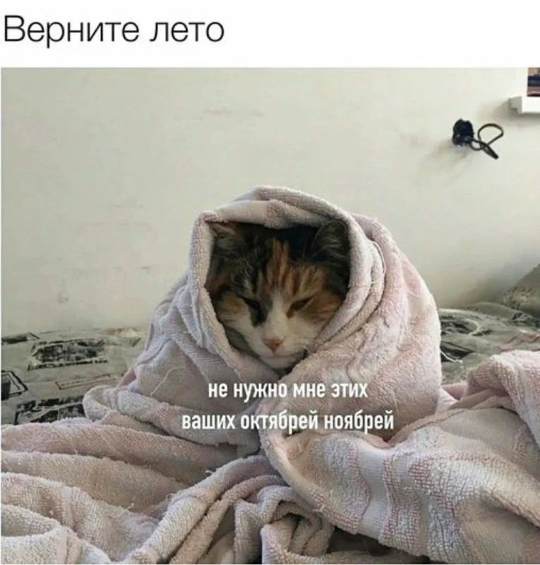 Югру накроют морозы: в регионе похолодает до -10°C