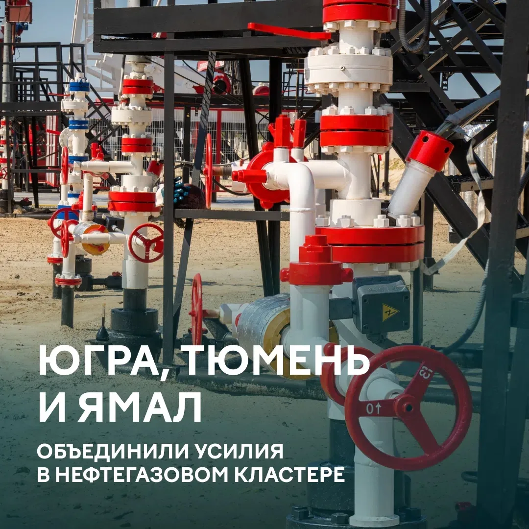 Регионы развивают единую платформу для топливно-энергетического комплекса