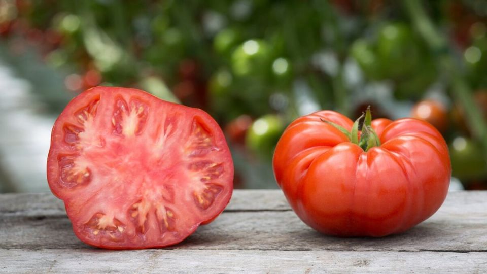 �������� ������: ���� � ������, ������� ����������