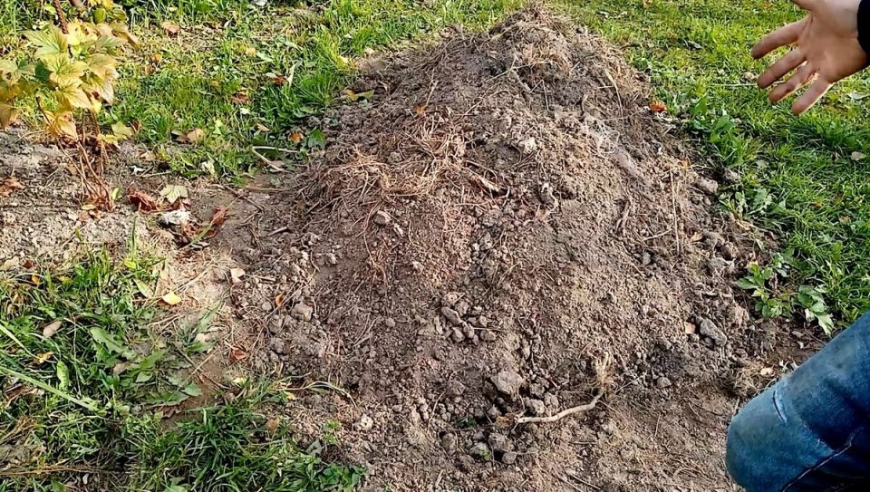 Как сделать компост: советы дачников и научные исследования