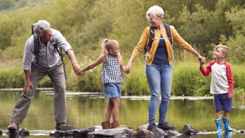 Пенсионеры смогут вернуть потраченные деньги на здоровье и образование внуков