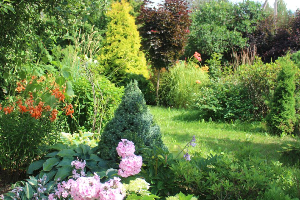 Изменения в выставочных горизонтах: новинки Людмилы Федотовой и ее садовые открытия