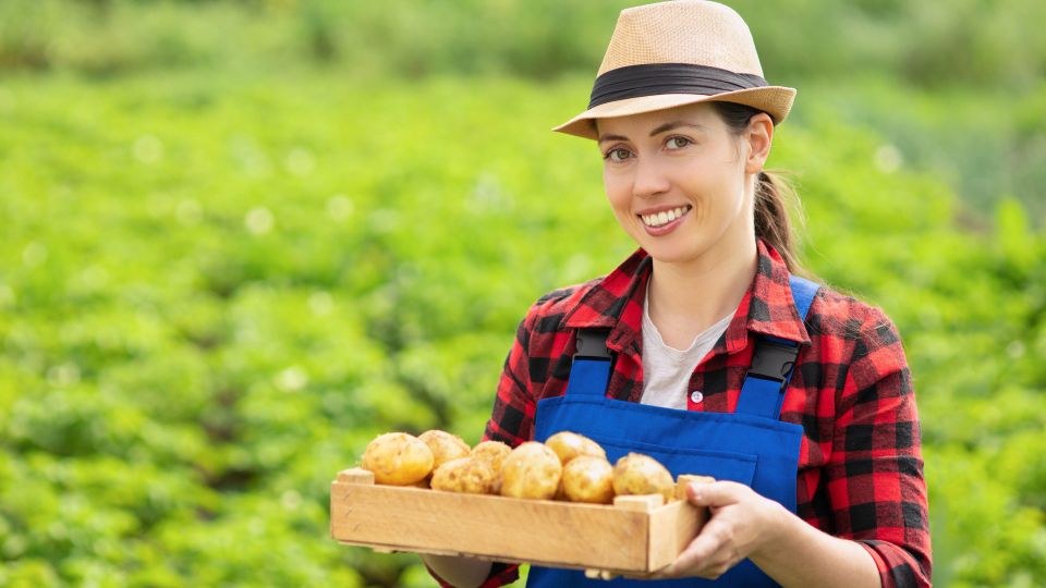 Побеги картошки будут здоровыми и мощными: просто положите в это место и забудьте