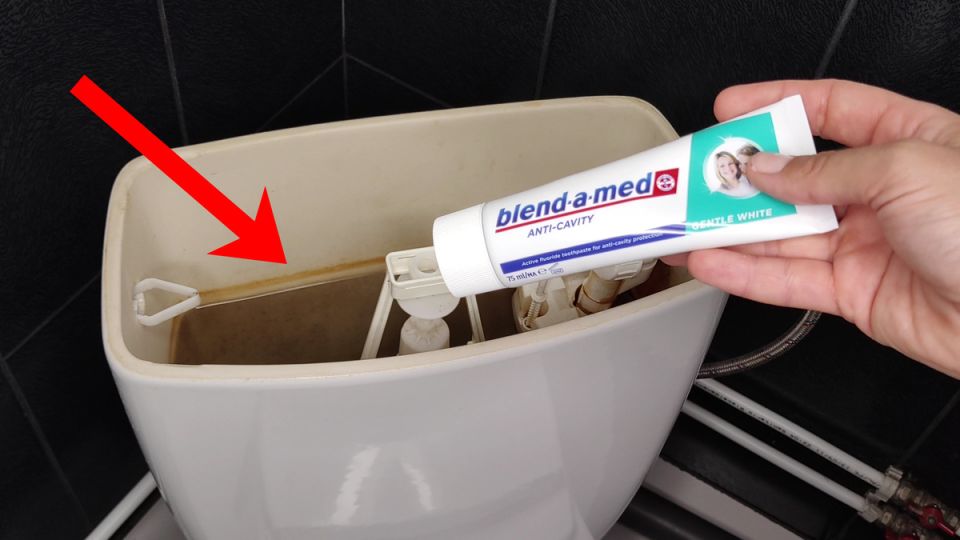 Зубная паста в унитазе: неожиданный способ поддерживать чистоту