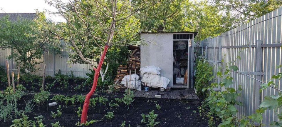 Новый закон о садоводстве и огородничестве: что изменится для владельцев участков?