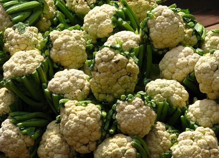 Цветная капуста: советы по идеальному урожаю