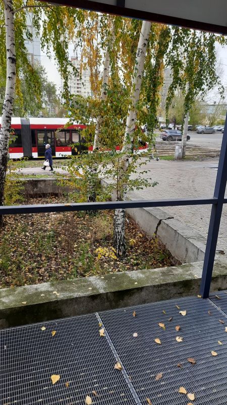 Как подработка на пенсии открыла новые горизонты и испытания