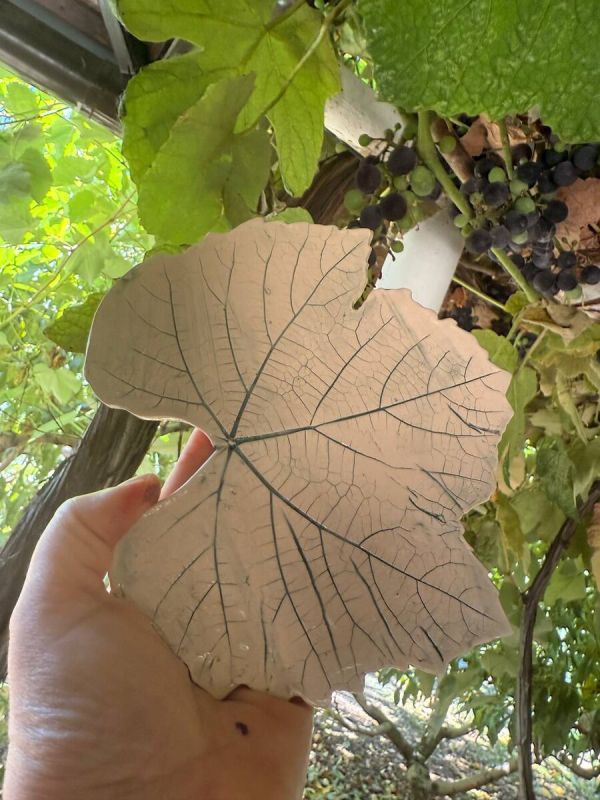 Откройте для себя магию гончарного искусства в мастерской «Зарни Ань»