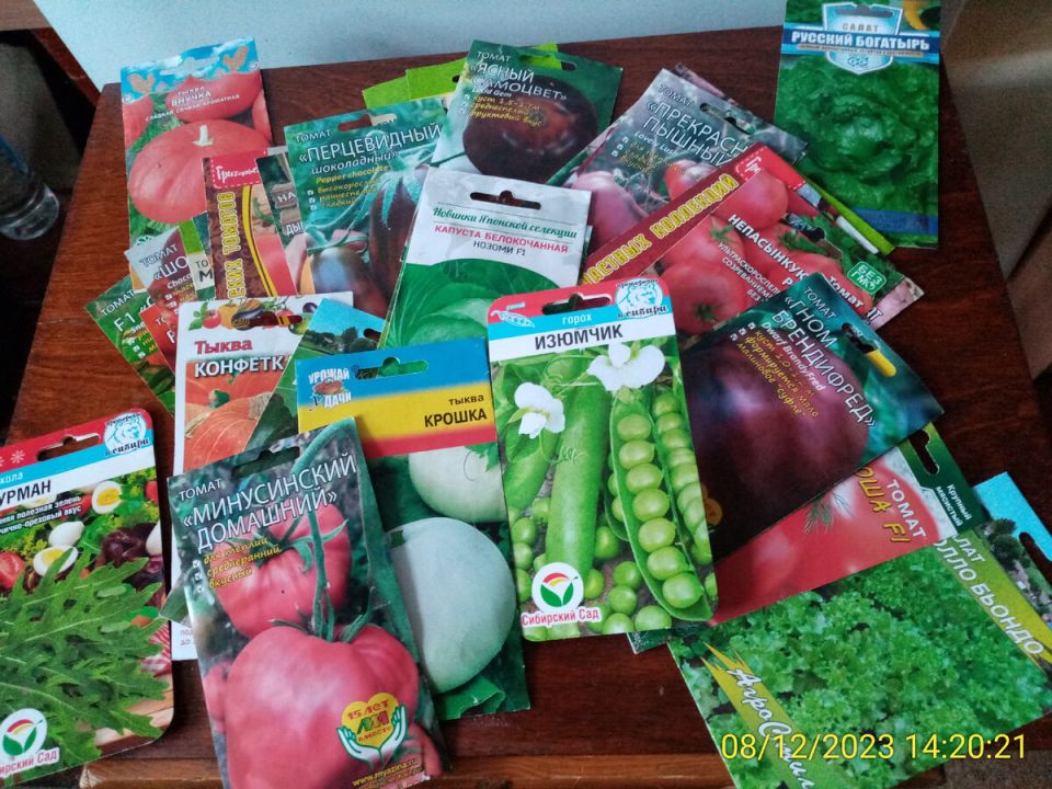 Лучшие новогодние подарки для садоводов: что выбрать в 2025 году?