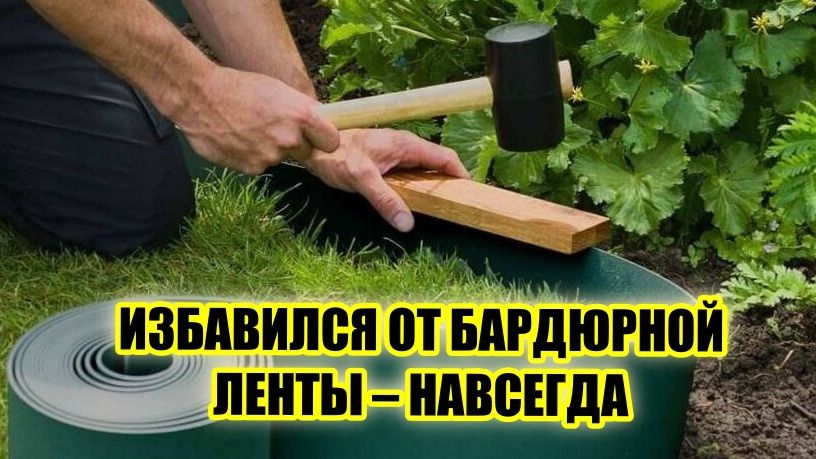 Забудьте о традиционных бордюрах: новые идеи для ландшафтного дизайна