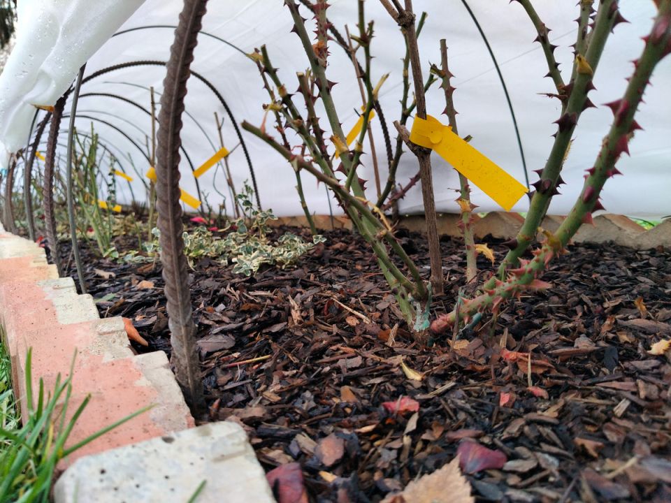 ������ ��� ������� ��� �� ����