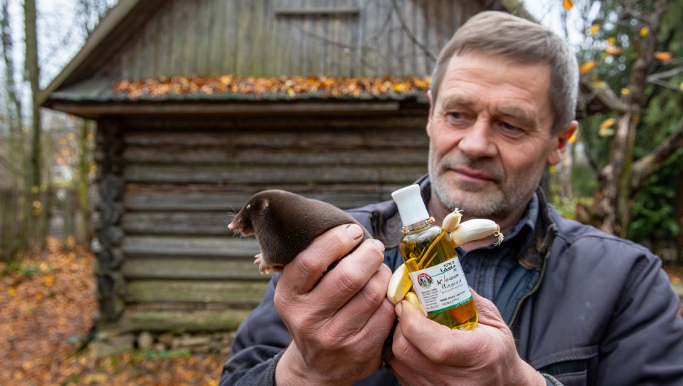 ��� ���������� �� ������ �� �������: �������, �� ����������� ������