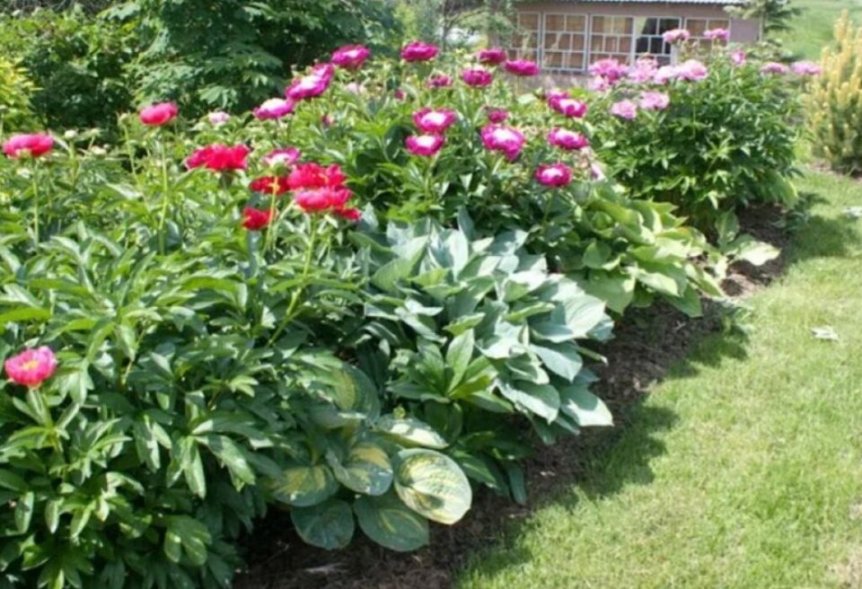 ������� ��������� ������� �������������: ����� � ��� ��������� ���������� ���� ������� ��������