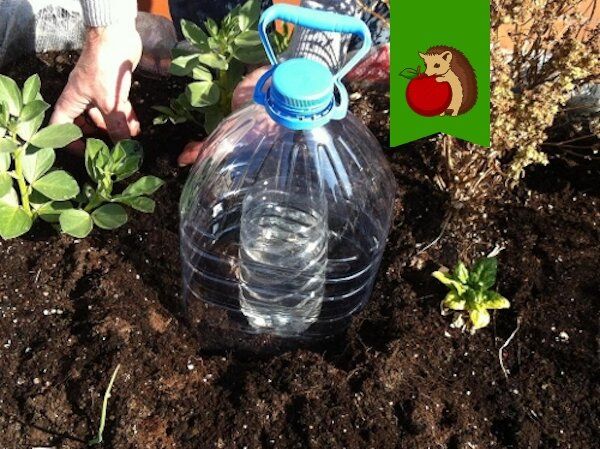 Умный капельный полив: простое решение для каждого дачника