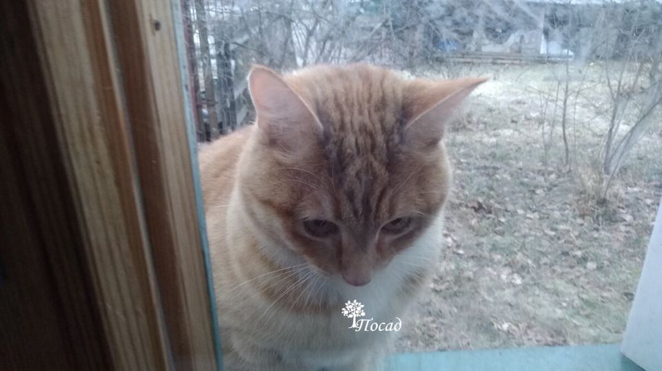 ������ ������: ��� ��������� ������� ���� �� ����, ����� �� ���������