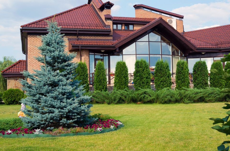 Как превратить пространство под елью в живописный уголок сада