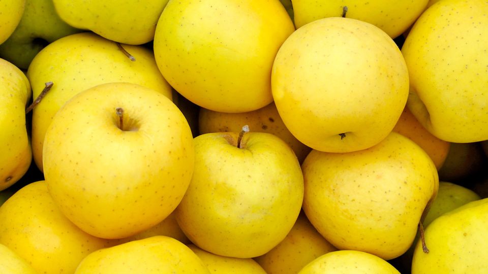 ������, � ������� ������� ������ �������� �������: ����������� � ������ Arctic