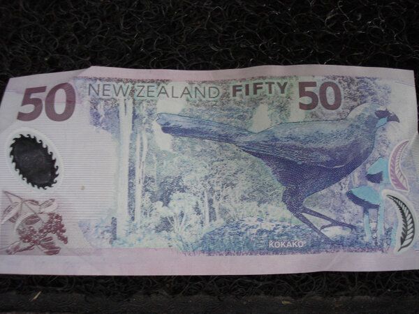 ����� �� �������: ������������ ������ ����� ��������