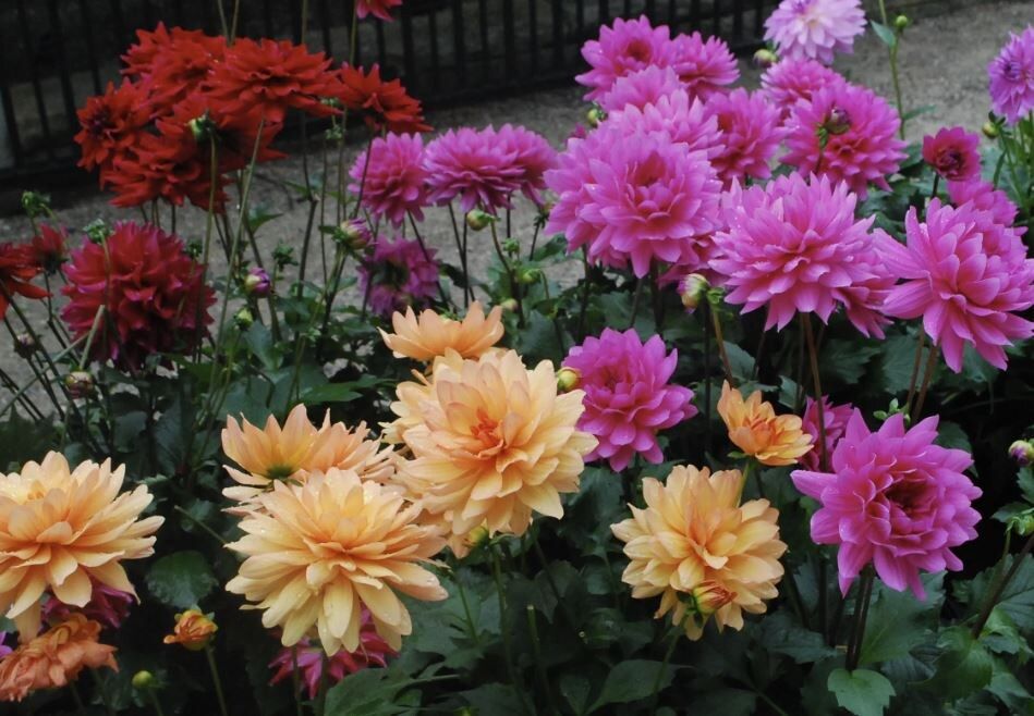 �������� � �������: 7 ����� � ���������� ��������