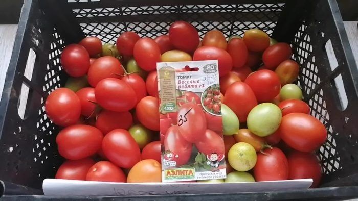 ��������� ����� �������� ������: ������� ��������� ������