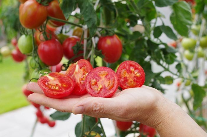 ����� ������ ���: ��������� ����� ��� ������� ��������� � �������